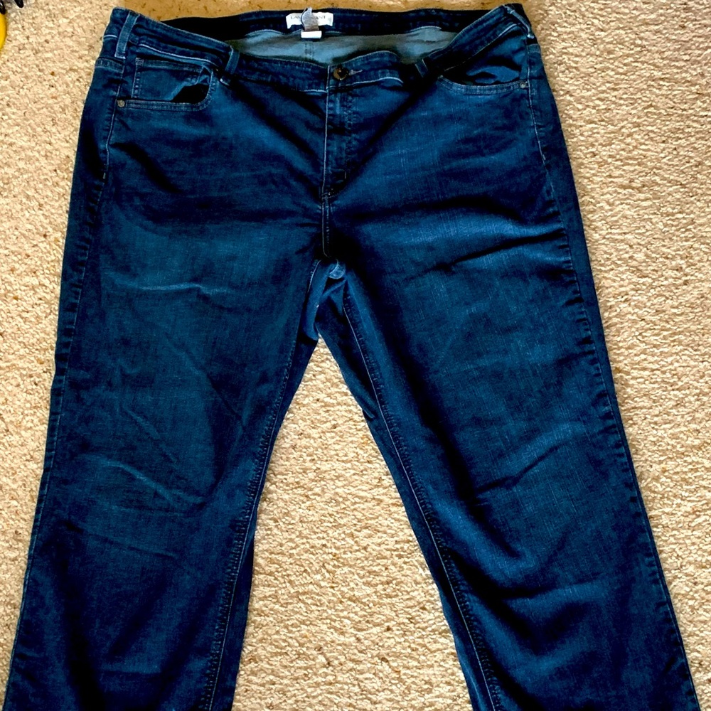 Lane Bryant Jeans